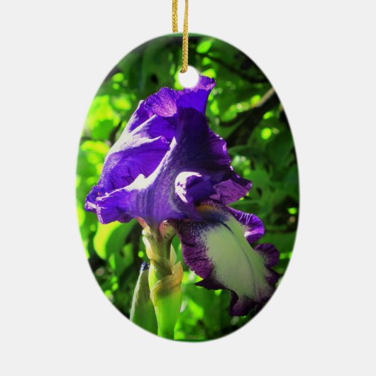 Lila Iris im Sommer Keramikornament (Hinten)