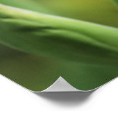 Lila Iris in der Sonne Poster (Ecke)