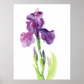 Lila Iris in leichter Aquarelltechnik Poster (Vorne)