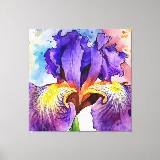 Lila Iris in Wasserfarbe Leinwanddruck