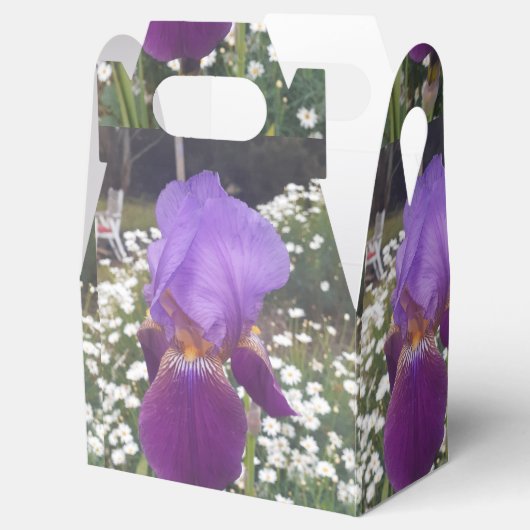 Lila Iris Iris Birthday Cake Fevor Box Geschenkschachtel (Geöffnet)