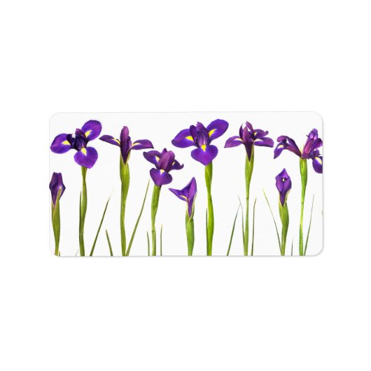 Lila Iris - Iris-Blume - angepasste Vorlage Adressaufkleber (Vorne)