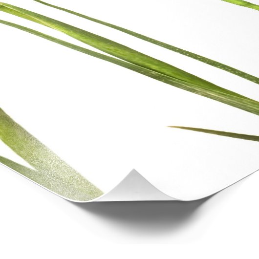 Lila Iris - Iris-Blume - angepasste Vorlage Fotodruck (Ecke)