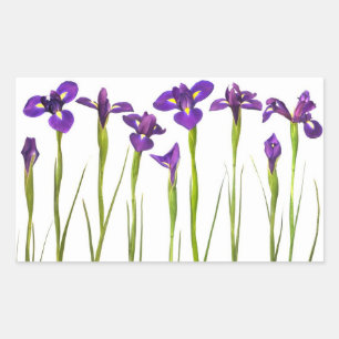 Lila Iris - Iris-Blume - angepasste Vorlage Rechteckiger Aufkleber