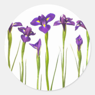 Lila Iris - Iris-Blume - angepasste Vorlage Runder Aufkleber