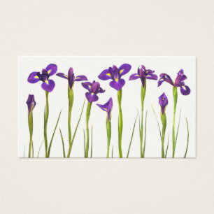 Lila Iris - Iris-Blume kundengebundene Schablone