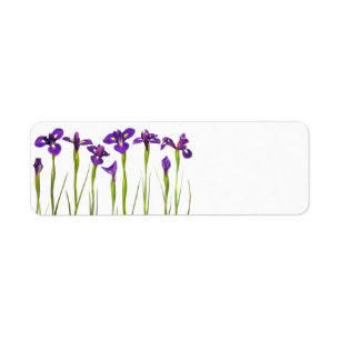 Lila Iris - Iris-Blume kundengebundene Schablone