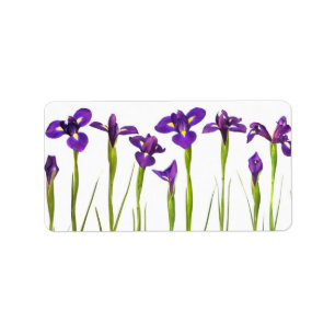 Lila Iris - Iris-Blume kundengebundene Schablone Adressaufkleber