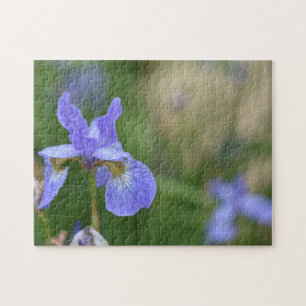 Lila Iris Iris Blume Natur Foto Garden Puzzle