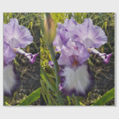 Lila Iris irises Blume Lavender Lilac Bearded Geschenkpapier (Flach)