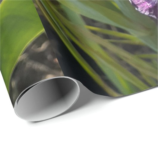 Lila Iris irises Blume Lavender Lilac Bearded Geschenkpapier (Rolleneckpunkt)