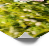 Lila Iris Irises Blumengartenposter Poster (Ecke)