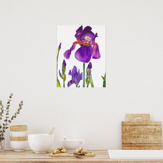 Lila Iris irises blumengeschmückte Blume Poster (Küche)