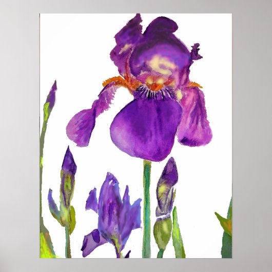 Lila Iris irises blumengeschmückte Blume Poster (Vorne)