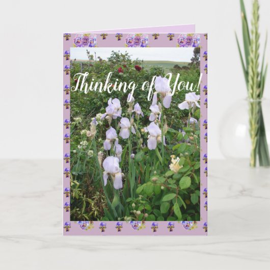 Lila Iris irises Garden Thinking of You Card Karte (Vorderseite)