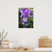 Lila Iris Irises Hütte Garden Art Pflanzen Poster (Küche)