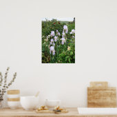 Lila Iris Irises Hütte Garden Pflanze Poster (Küche)