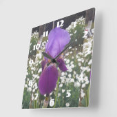 Lila Iris Irises White Daisy Garden Blume Quadratische Wanduhr (Winkel)