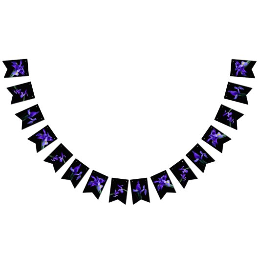 Lila Iris-Jagdfahnen Wimpelkette (Alle)