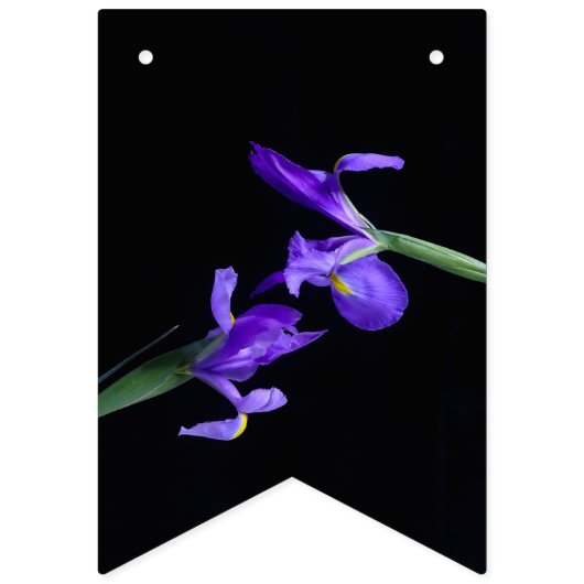 Lila Iris-Jagdfahnen Wimpelkette (Zweite Fahne)