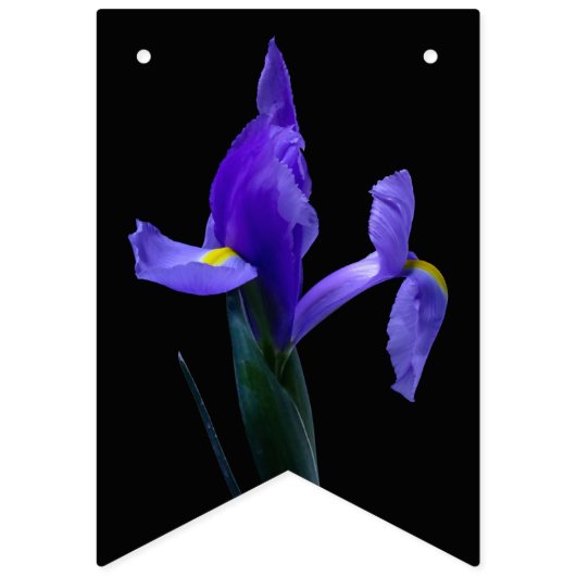 Lila Iris-Jagdfahnen Wimpelkette (Dritte Fahne)