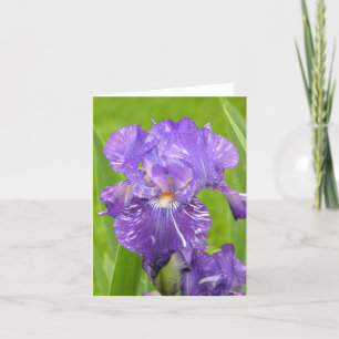 Lila Iris Karte