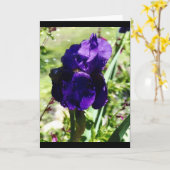 Lila Iris Karte (Gelbe Blume)