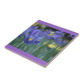 Lila Iris Keramikfliese (Seite)