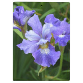 Lila Iris Klemmbrett (Rückseite)