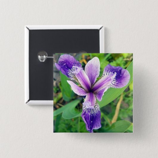 Lila Iris-Knopf Button (Vorne & Hinten)