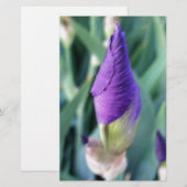 lila Iris-Knospe Briefpapier (Vorne/Hinten)