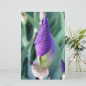 lila Iris-Knospe Briefpapier (Stehend Vorderseite)