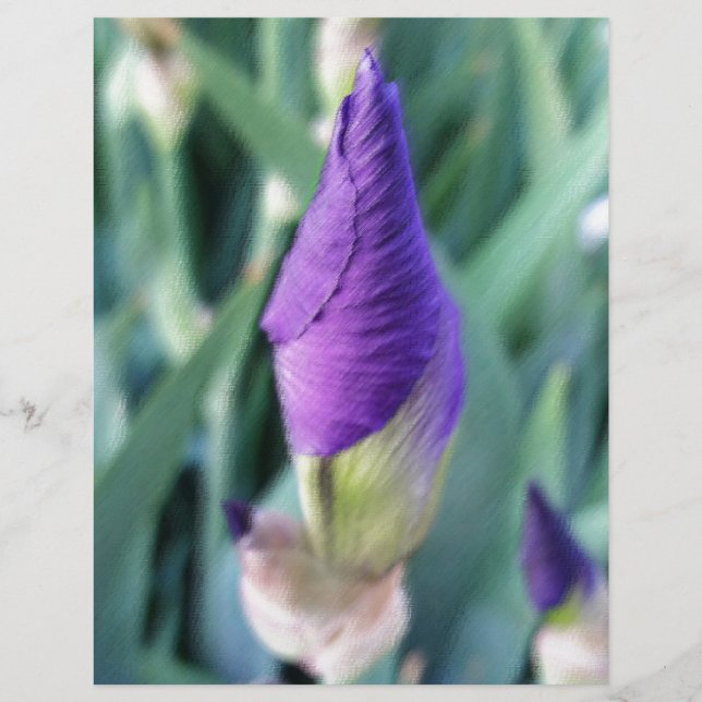 lila Iris-Knoten (Vorderseite)