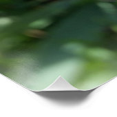 lila Iris-Knoten Poster (Ecke)