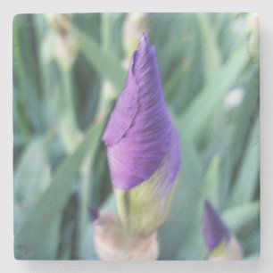 lila Iris-Knoten Steinuntersetzer