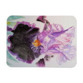 Lila Iris Kunst Blume Wasserfarbenes Magnet (Horizontal)