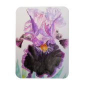 Lila Iris Kunst Blume Wasserfarbenes Magnet (Vertikal)