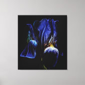 Lila Iris Leinwanddruck (Vorderseite)