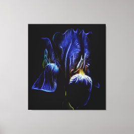 Lila Iris Leinwanddruck