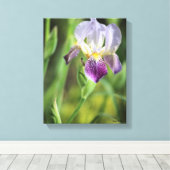Lila Iris Leinwanddruck (Insitu (Holzboden))