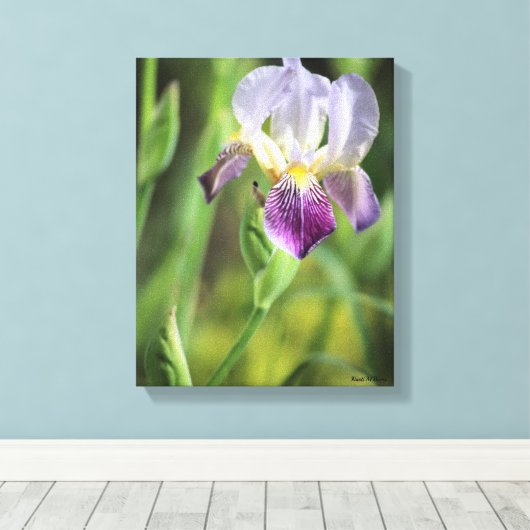 Lila Iris Leinwanddruck (Insitu (Holzboden))