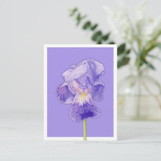 Lila Iris lila Postkarte (Stehend Vorderseite)