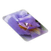 lila Iris Magnet (Rechte Seite)