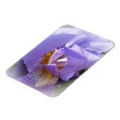 lila Iris Magnet (Linke Seite)