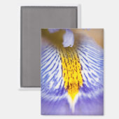 Lila Iris Magnet (Vorderseite/Rückseite)