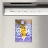 Lila Iris Magnet (In Situ (Geschirrspüler))