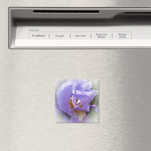 lila Iris Magnet (In Situ (Geschirrspüler))