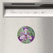 Lila Iris Magnet (In Situ (Geschirrspüler))