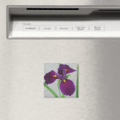 Lila Iris Magnet (In Situ (Geschirrspüler))