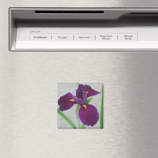 Lila Iris Magnet (In Situ (Geschirrspüler))